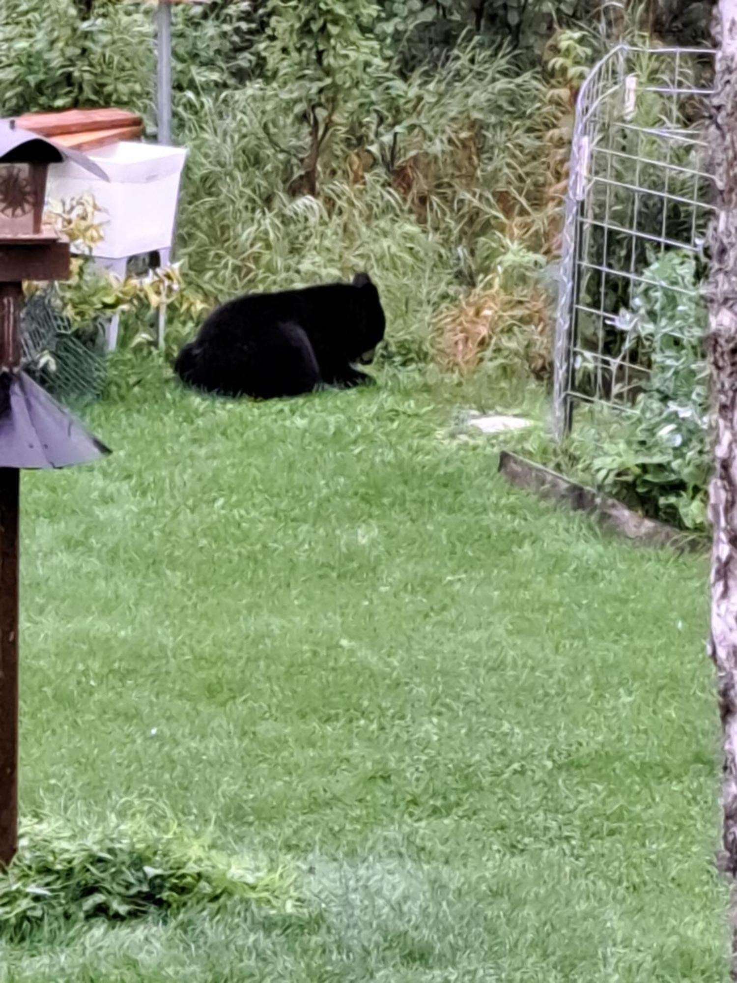 Southern Bluff Bed & Breakfast Soldotna Bagian luar foto