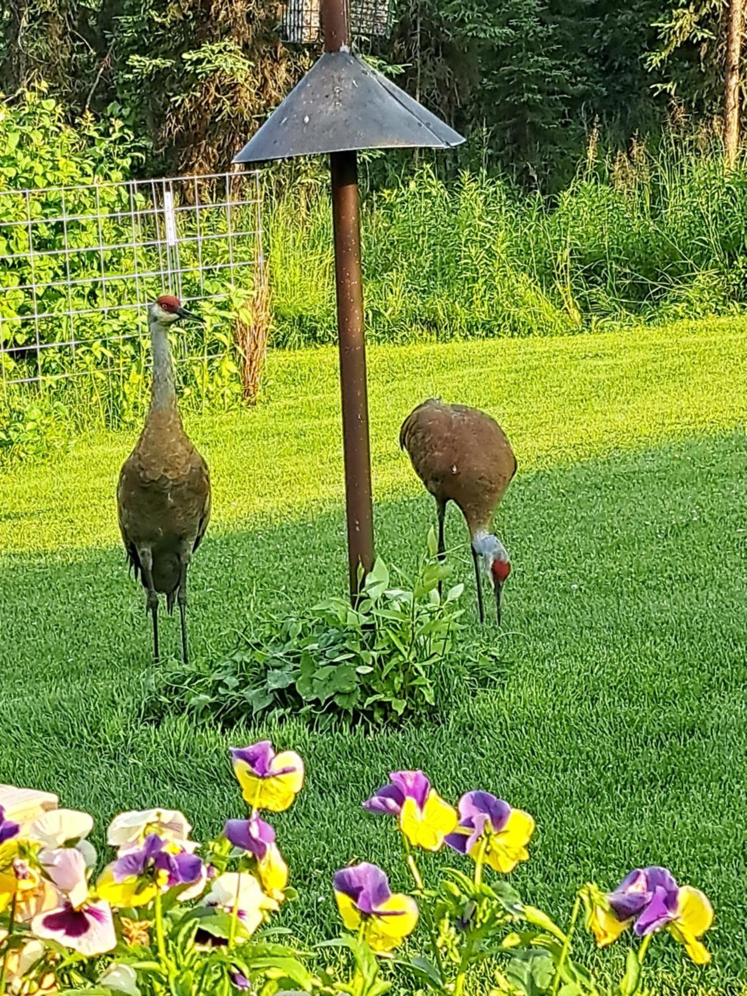 Southern Bluff Bed & Breakfast Soldotna Bagian luar foto