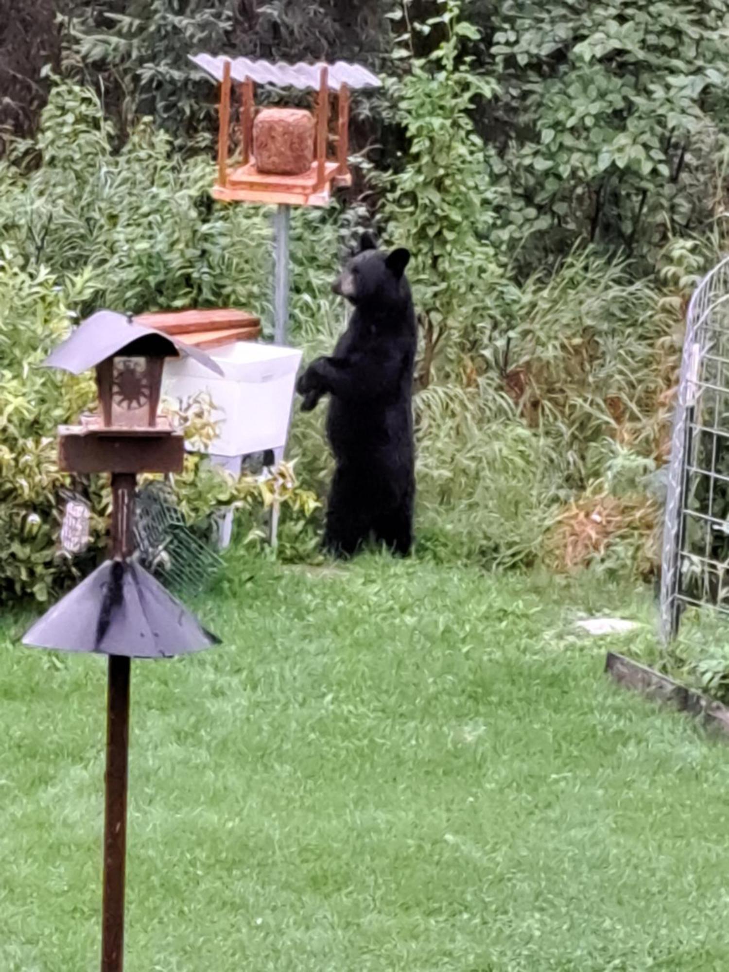Southern Bluff Bed & Breakfast Soldotna Bagian luar foto