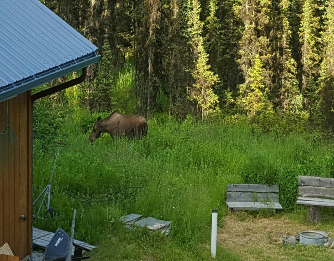Southern Bluff Bed & Breakfast Soldotna Bagian luar foto