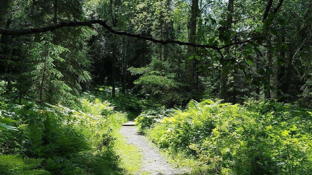 Southern Bluff Bed & Breakfast Soldotna Bagian luar foto