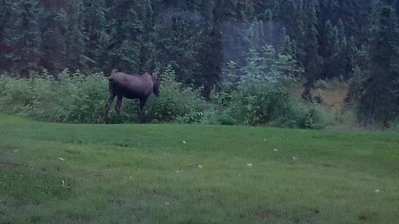 Southern Bluff Bed & Breakfast Soldotna Bagian luar foto